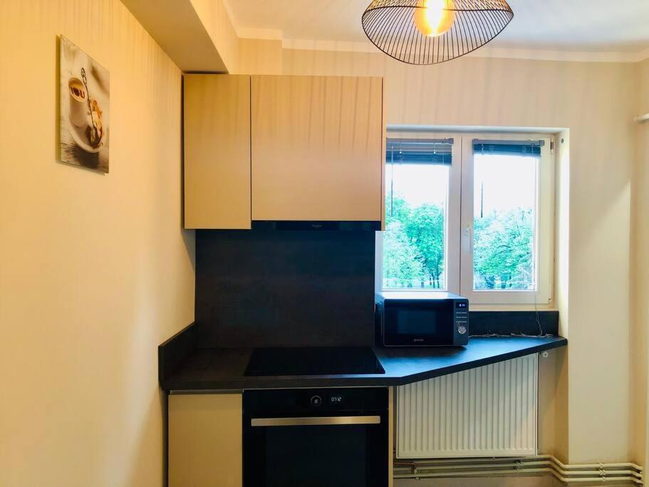 Joy City Stay Victoriei 7G-13 Timisoara Ngoại thất bức ảnh